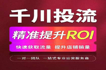 揭秘：成功SEM推广代运营公司案例解析